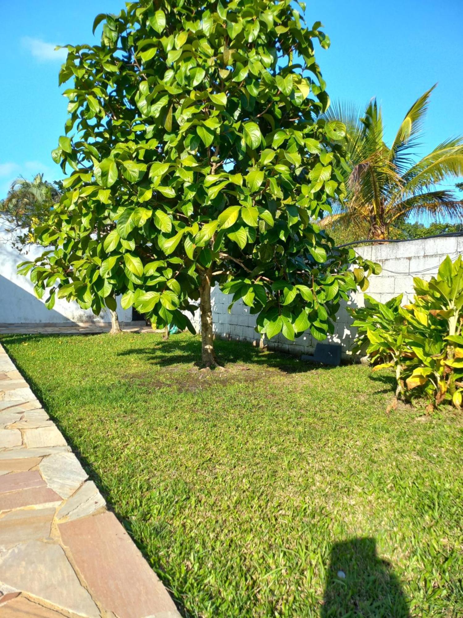Chacara Sitio Casa Peruibe Praia エクステリア 写真